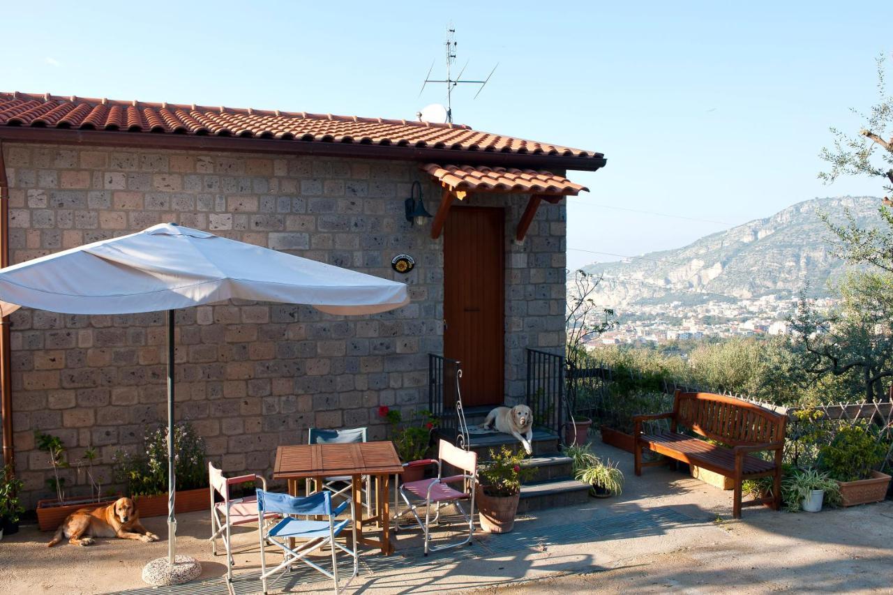 Agriturismo L'Olivara Piano di Sorrento Esterno foto