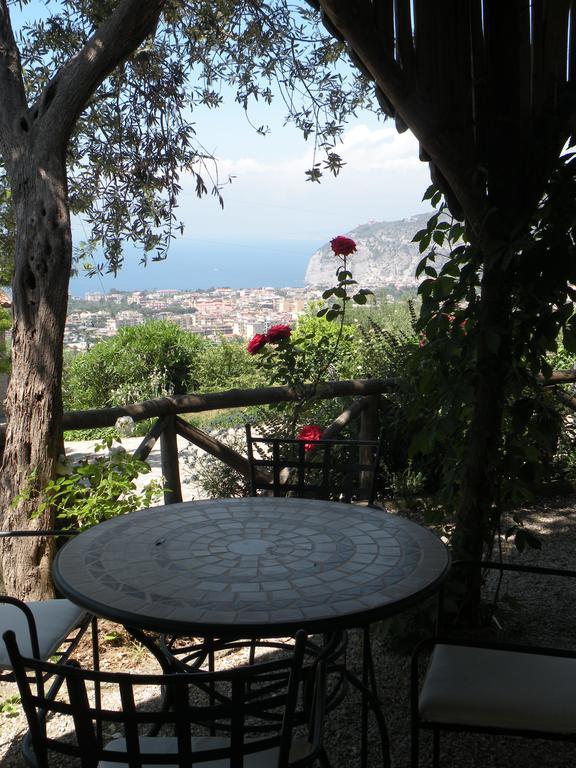 Agriturismo L'Olivara Piano di Sorrento Esterno foto