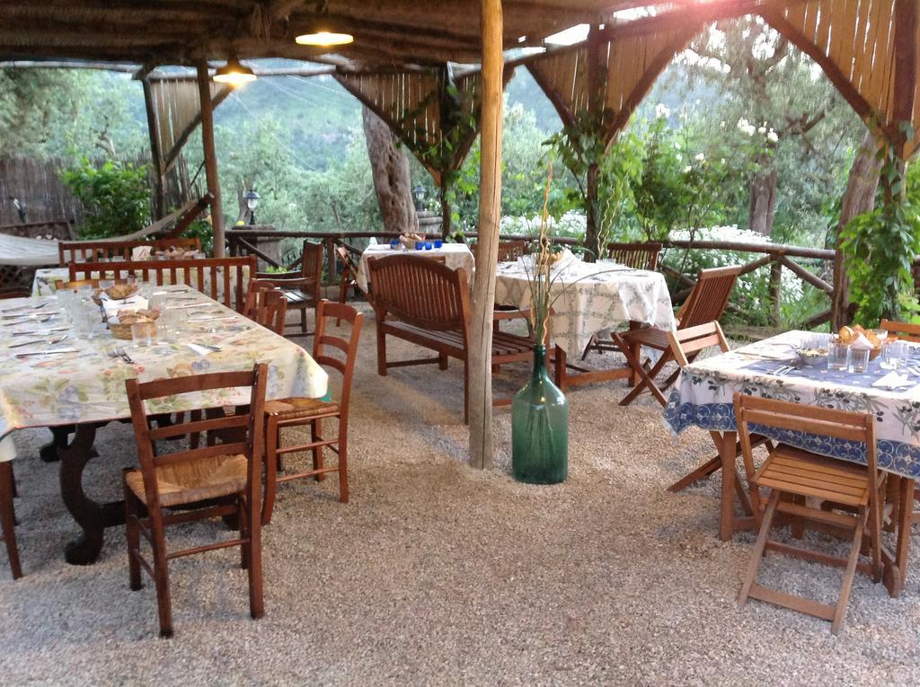 Agriturismo L'Olivara Piano di Sorrento Esterno foto