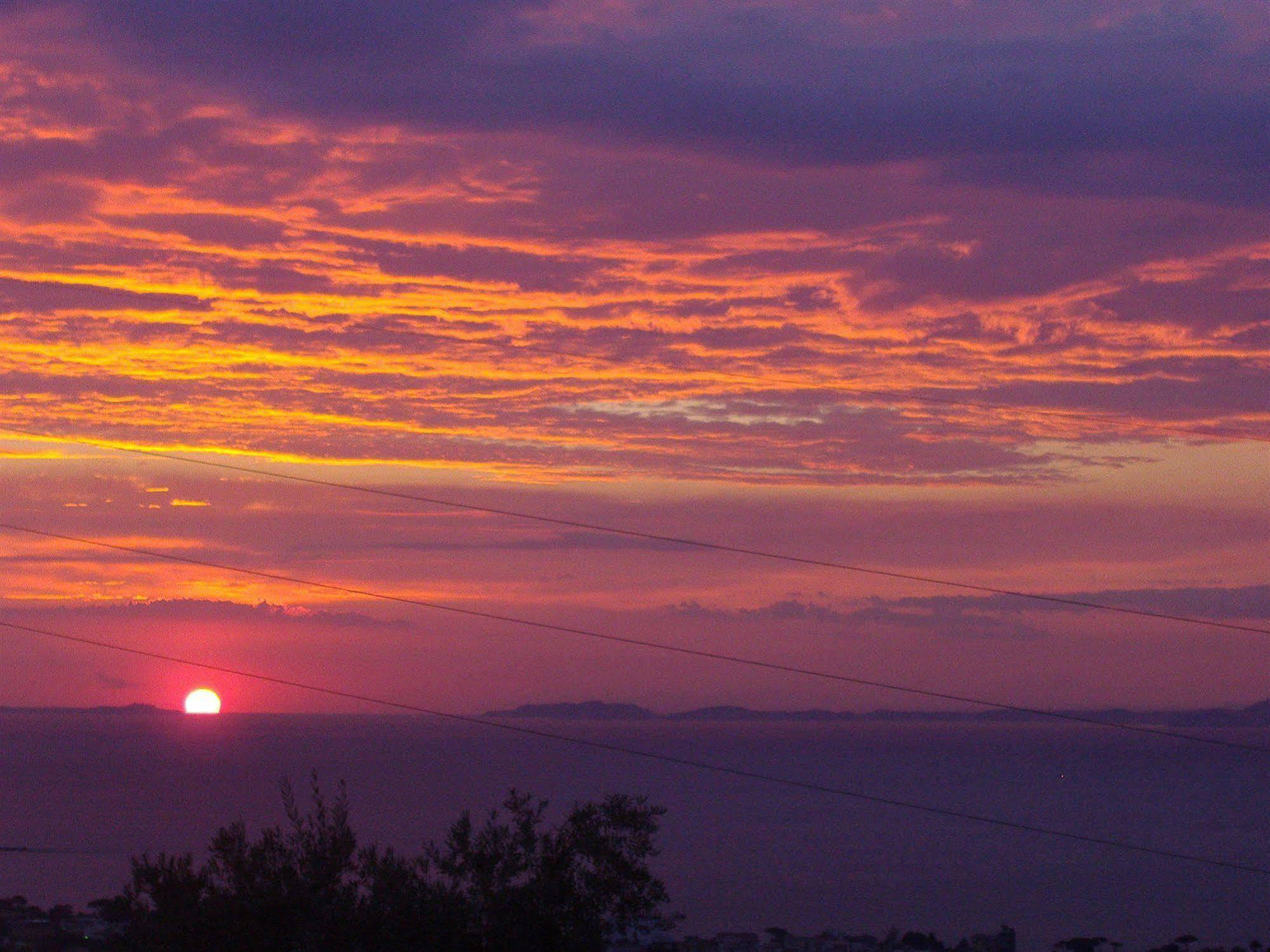 Agriturismo L'Olivara Piano di Sorrento Esterno foto