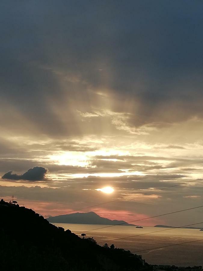 Agriturismo L'Olivara Piano di Sorrento Esterno foto