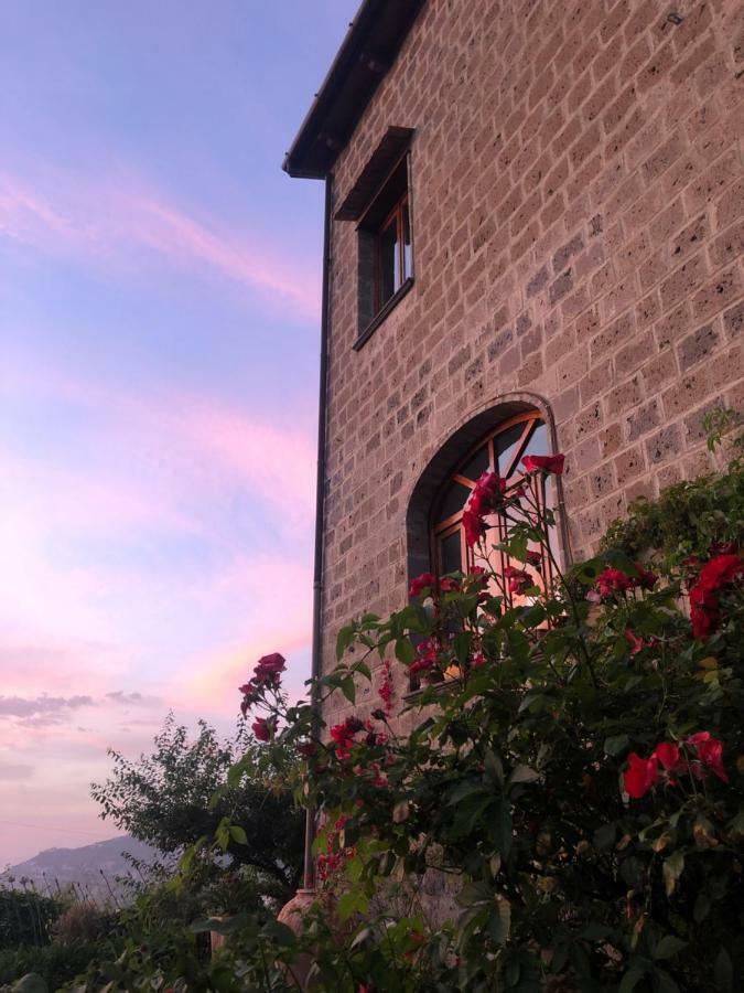 Agriturismo L'Olivara Piano di Sorrento Esterno foto